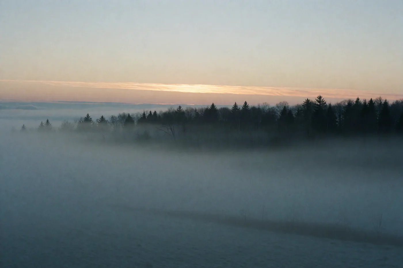 Fog at first light — 15 stops hold the treeline.