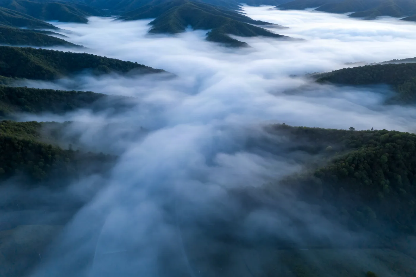 Valley fog · orbit